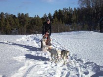 Siberian Husky Racing | Exclusviely at Winton House Siberian Husky Racing. 2 dogs racing in snow. Team building venue Winton House.