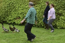 Dog & duck herding at Winton House.