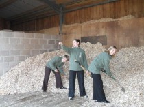 Events team helping rake woodchips for biomass boiler.