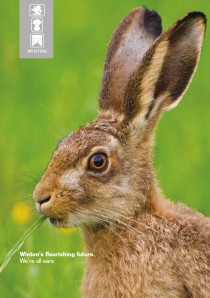 We're All Ears |Winton Estate Development Plans