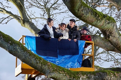 Jing Tian Crane Tree Winton Castle