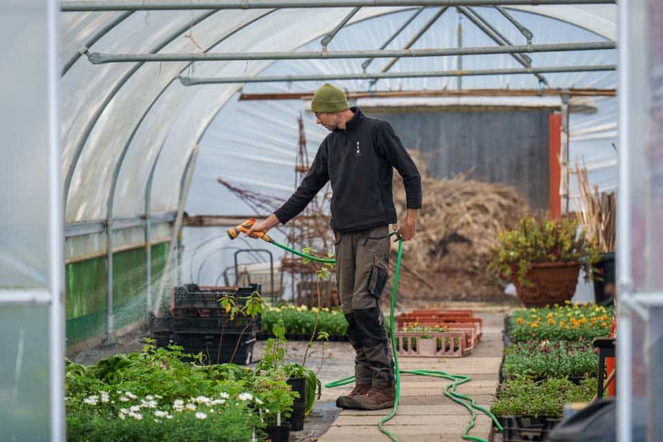 Growing seedlings for Winton Gardens