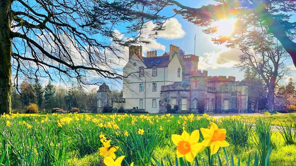 Winton Castle with daffodils 960